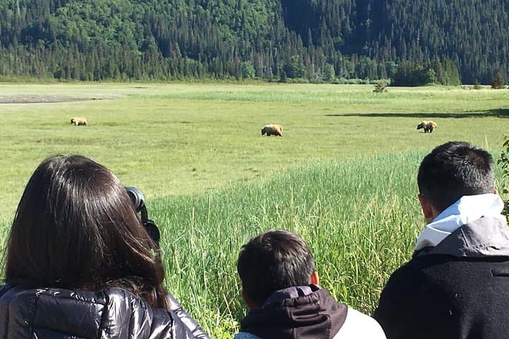 Lake Clark Bear Viewing Airplane Tour: Alaska Day Trip from Anchorage photo 2