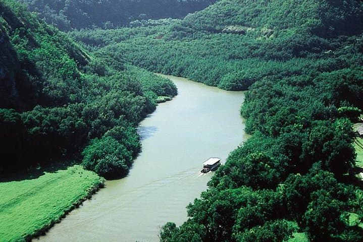 Wailua River Cruise & Fern Grotto Shore Excursion — Kauai Garden Isle Experience