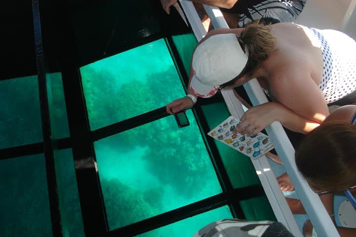 Explore Hawaii’s Underwater World: Glass-Bottom Boat Cruise from Waikoloa