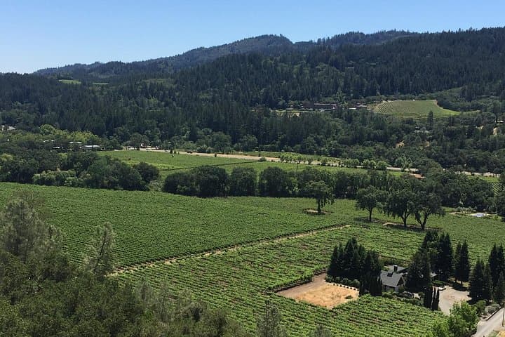 Private Napa and Sonoma Wine Tour from San Francisco — Full-Day Luxury Group Experience photo 3