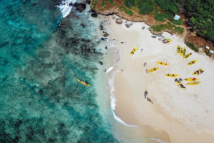 Kailua Twin Islands Guided Kayak Tour — Mokulua Islands & Lanikai Snorkel photo 2