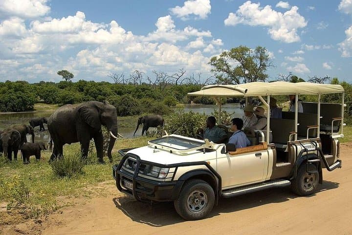 Victoria Falls Safari Pass: Chobe Day Trip, Helicopter Flights & River Adventures
