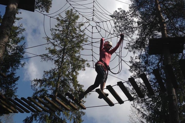 Fjällnora Adventure Park — Treetop Course Near Uppsala