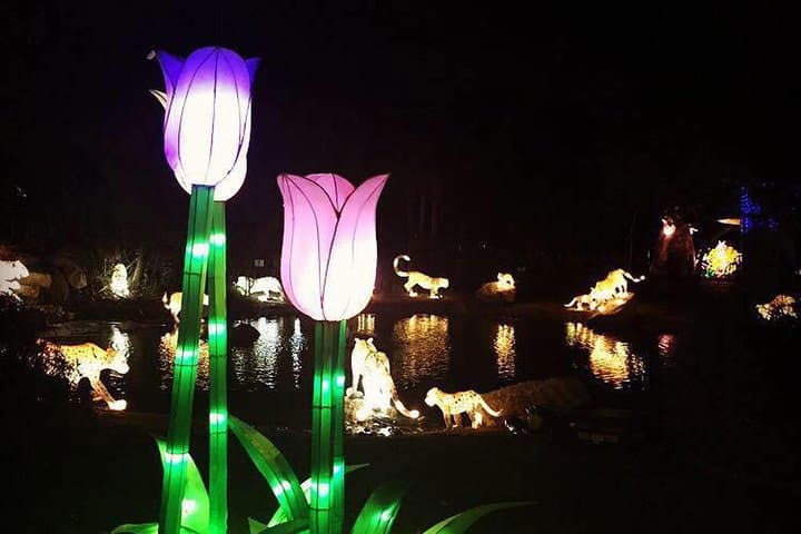 Dubai Garden Glow: Evening Lights, Recycled Art & Private Transfers photo 2