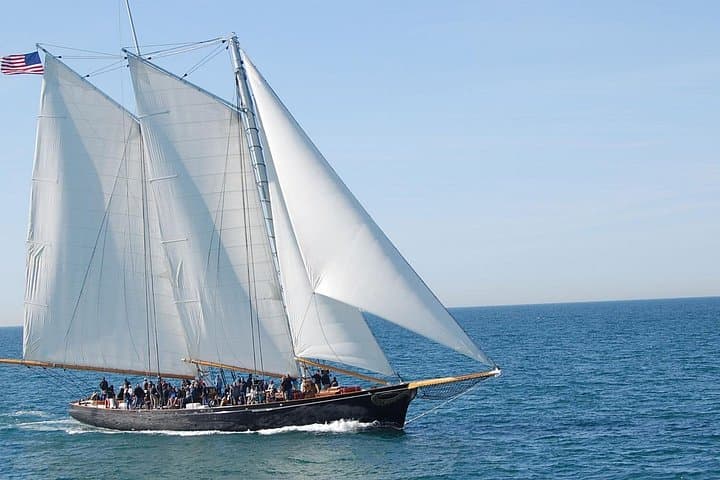 San Diego Whale Watching Cruise — Half-Day Sail for Gray, Blue & Humpback Whales photo 2