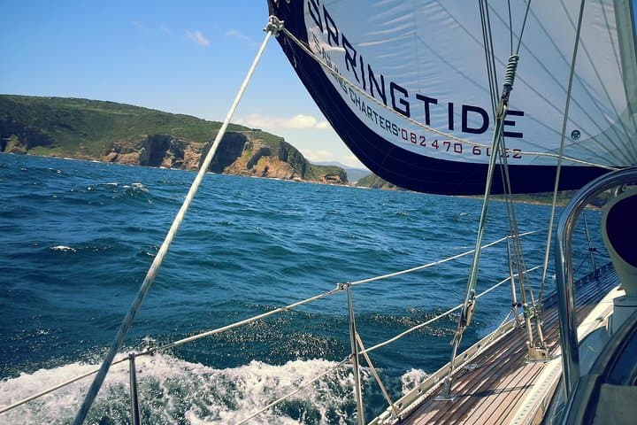 Knysna Short Sailing Cruise: 1.5-Hour Lagoon-to-Head Adventure photo 4
