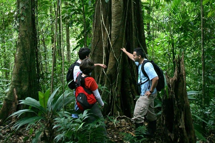 Braulio Carrillo Rainforest Hike & Aerial Tram: Day Trip from San José photo 3