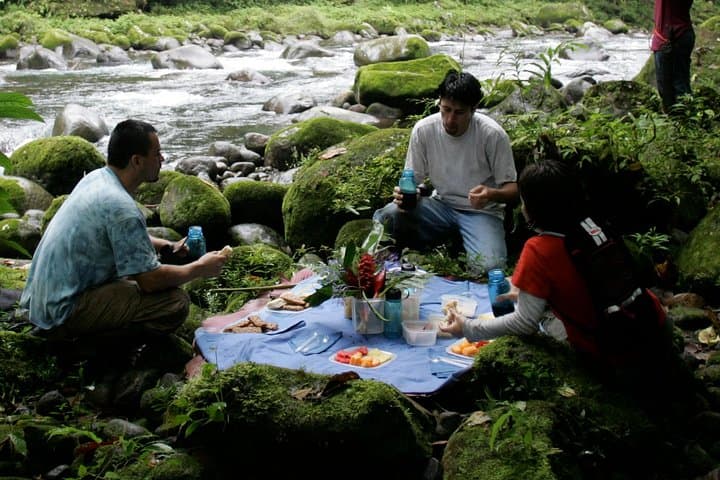 Braulio Carrillo Rainforest Hike & Aerial Tram: Day Trip from San José photo 4