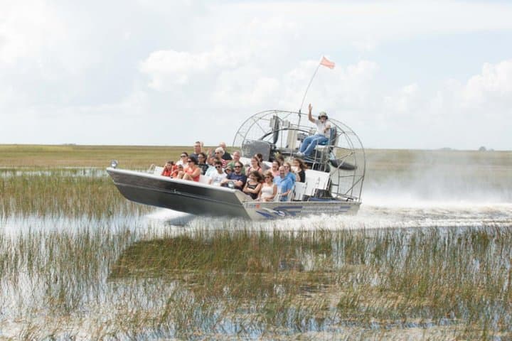 Exploring the Everglades: Florida’s Classic Airboat Wildlife Adventure photo 2