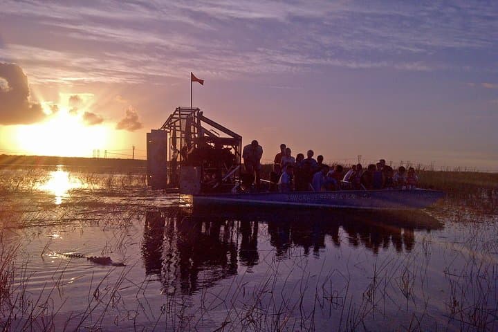 Florida Everglades Night Airboat Tour: Exploring the Wild Wetlands After Dark