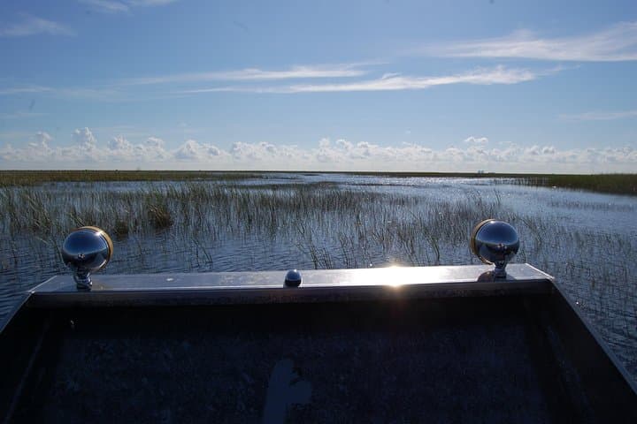 Explore the Florida Everglades: Private Airboat Tour and Wildlife Encounter photo 2