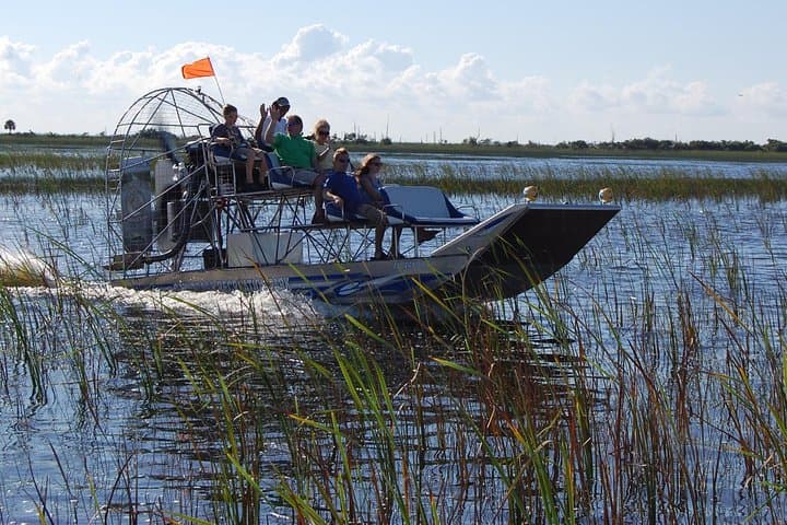 Explore the Florida Everglades: Private Airboat Tour and Wildlife Encounter