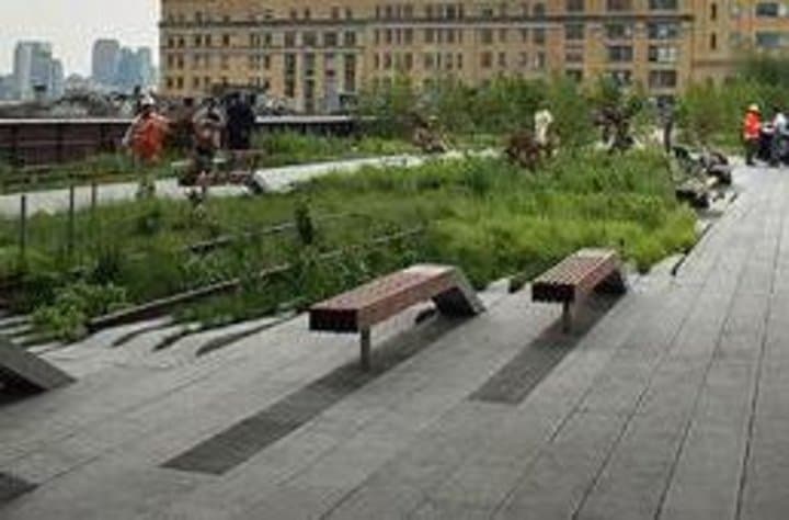 Walking the High Line: 2-Hour Guided Tour Through NYC's Elevated Park photo 3