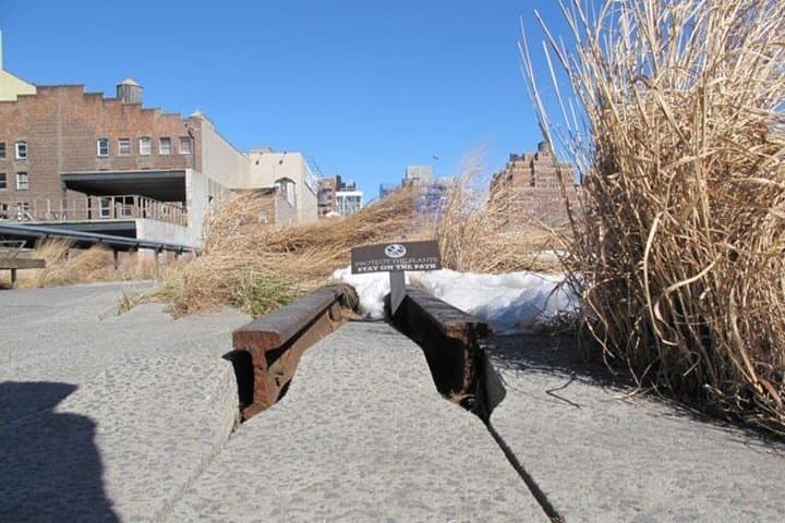 Walking the High Line: 2-Hour Guided Tour Through NYC's Elevated Park