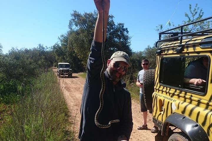 Private Albufeira Jeep Safari: Full-Day Custom 4x4 Tour of Inland Algarve photo 1
