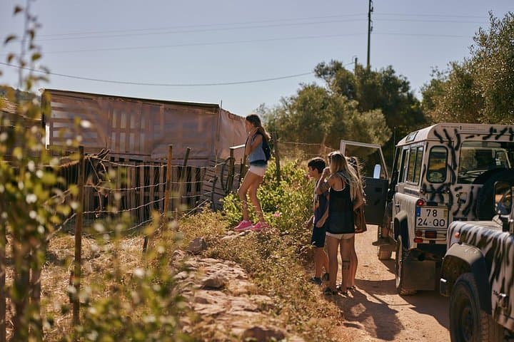 Full-Day Jeep Safari in the Algarve: Cork Groves, Castle Ruins & Natural Springs photo 3