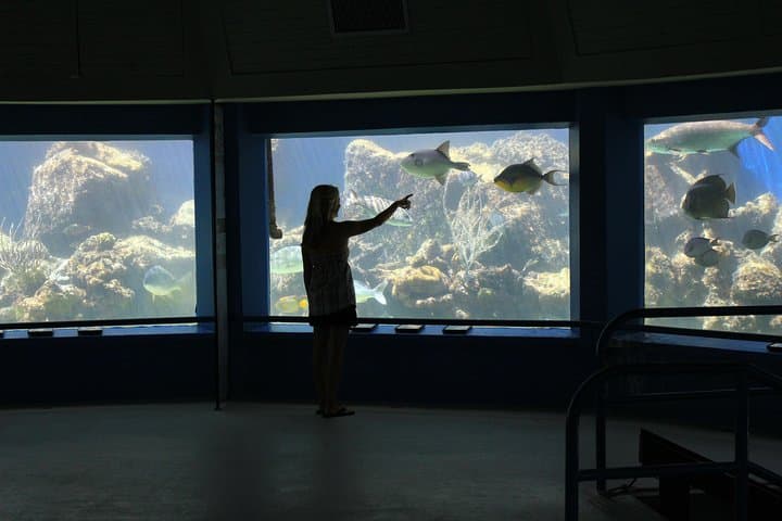 Coral World Ocean Park: Undersea Observatory, Marine Encounters & Coki Beach Access photo 2