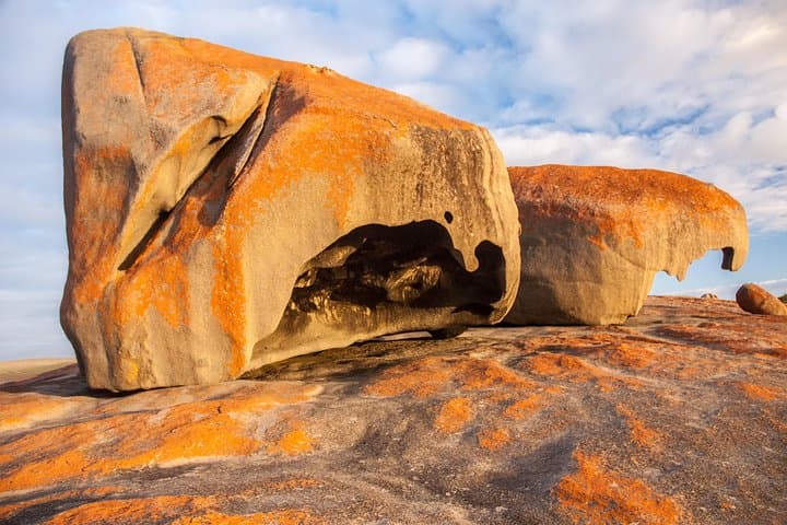 Flinders Chase Focus: Luxury Small-Group Kangaroo Island Day Tour photo 6