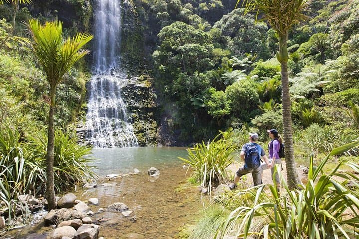 Private Auckland Luxury Tour: West Coast Beaches, Volcanoes & City Views photo 2
