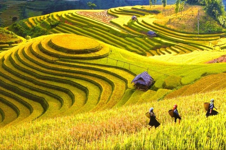 Hanoi to Halong and Sapa: 5-Day Train, Trek and Cruise Adventure