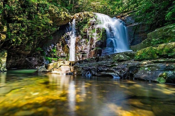 Hoi An to Bach Ma National Park: Full-Day Summit Hike, Waterfalls & Colonial Ruins photo 3