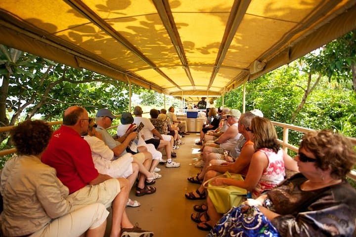 St Kitts Scenic Train Tour: 3-Hour Rail Journey & Island Sightseeing photo 3