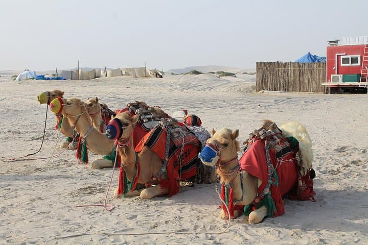 Inland Sea Desert Safari: 4x4 Dune Bashing & BBQ at Khor Al Adaid photo 2
