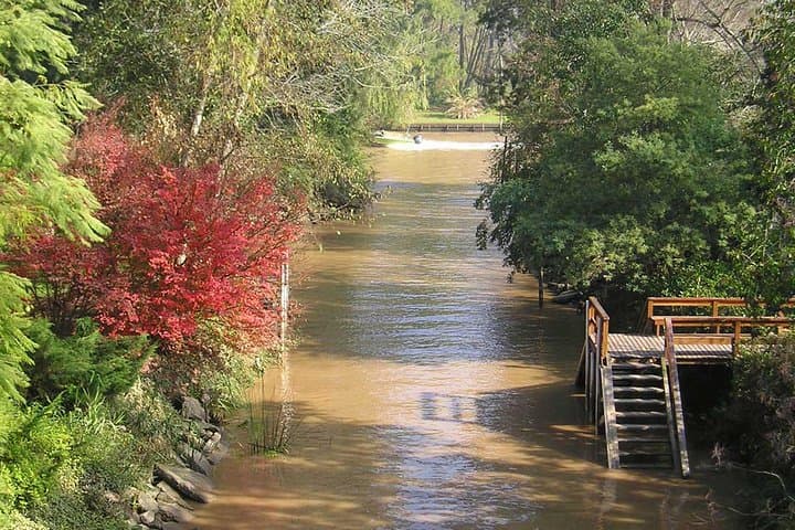 Tigre Delta Full-Day Boat Tour from Buenos Aires with Lunch photo 2