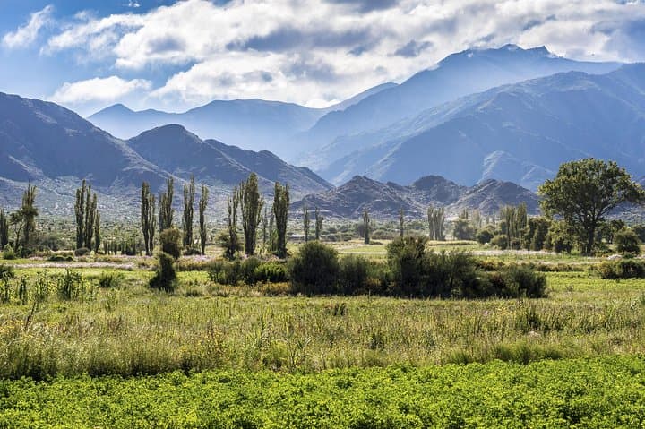 Best of Calchaquí Valley: Cafayate, Cachi & Salinas Grandes from Salta photo 3
