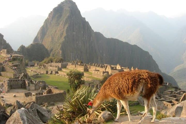 7-Day Lima and Cusco Tour: Sunrise at Machu Picchu & Sacred Valley Highlights photo 4