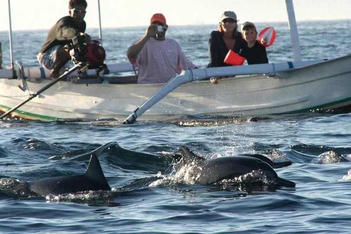 Early-Morning Dolphin Watching at Lovina Beach — Lovina, Wanagiri & Ulun Danu photo 3