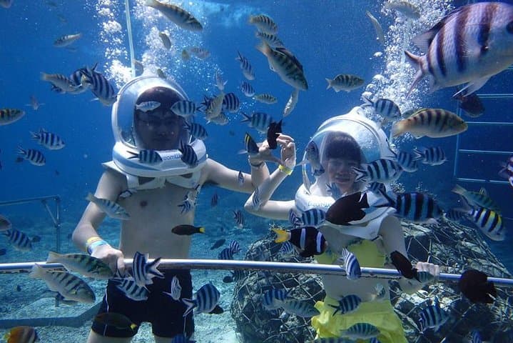 Sea Walking Bali at Tanjung Benoa — Helmet Dive for Non-Divers photo 2