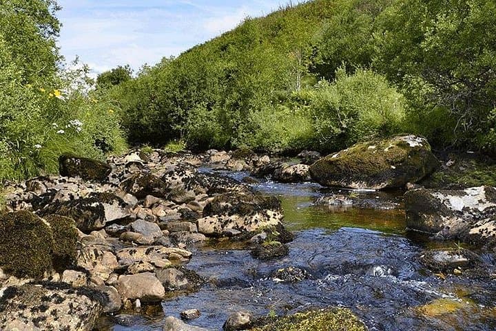 West Highlands Day Trip from Glasgow to Oban — Lochs, Castles & Coastal Roads photo 3