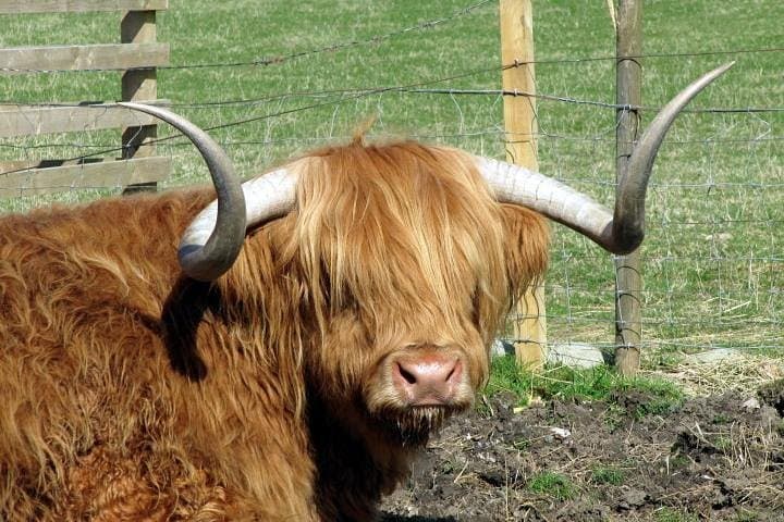 3-Day Isle of Skye and Highlands Tour from Glasgow — Eilean Donan, Skye & Loch Ness
