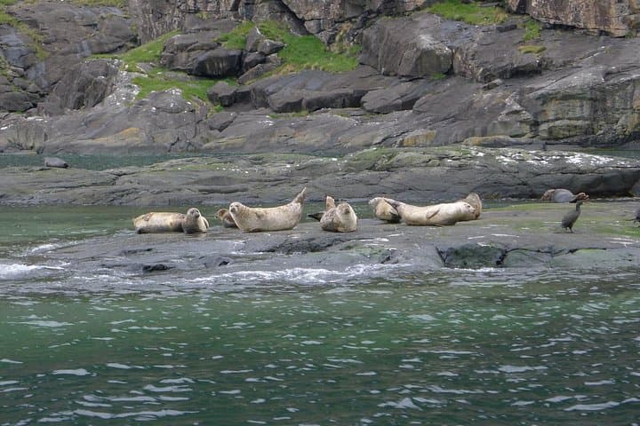 5-Day Best of Scotland Experience from Glasgow — Loch Ness, Skye & the Highlands photo 5