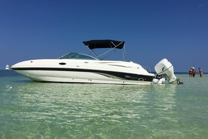 Private Half-Day Stingray City, Snorkeling & Starfish Beach Tour — Grand Cayman