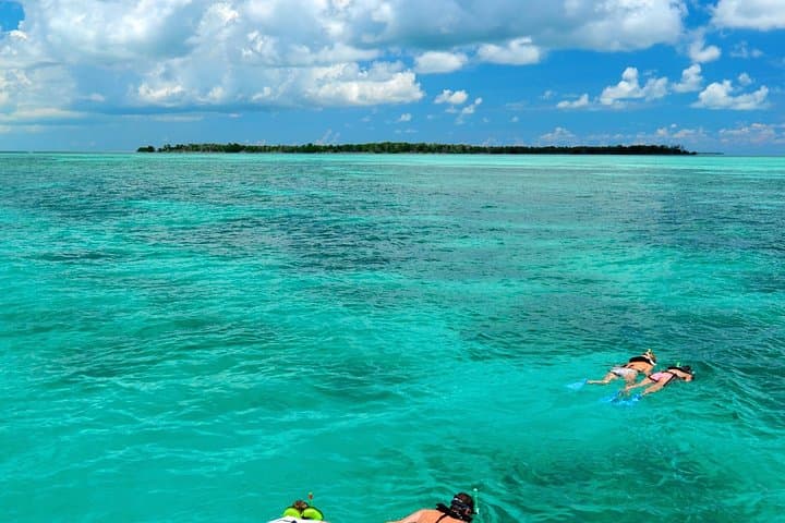 Key West Dolphin Watch and Snorkel Tour — Dolphin SMART Eco Adventure photo 6