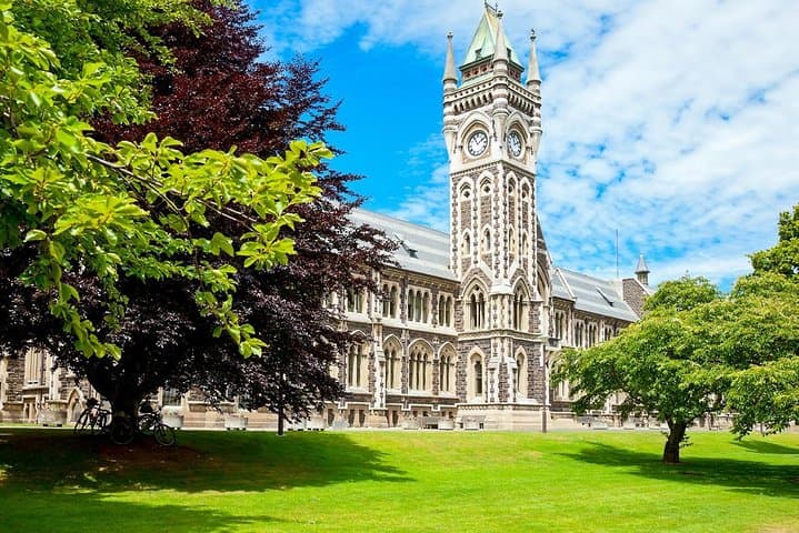 Dunedin City and Coastal Views — 3-Hour Small-Group Guided Tour photo 4