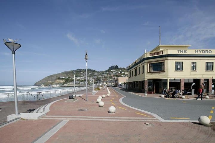 Dunedin City and Coastal Views — 3-Hour Small-Group Guided Tour photo 6