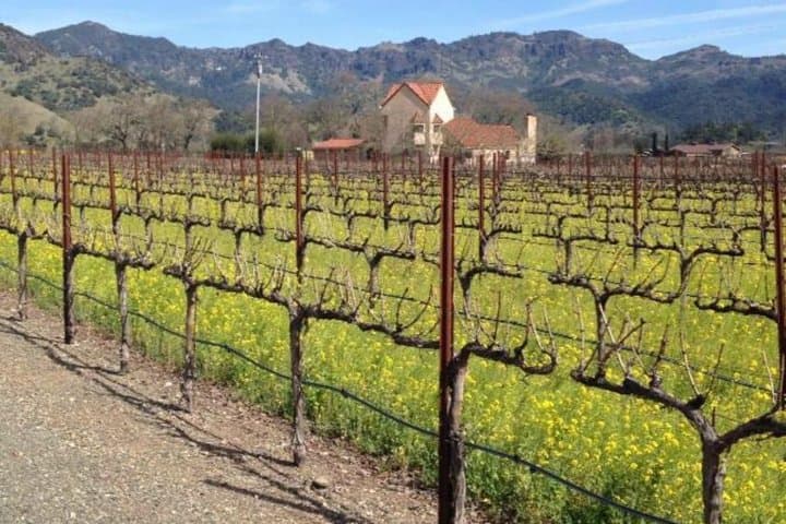 Self-Guided E-Bike Tour Through Healdsburg’s Dry Creek Valley — Wine Country Cycling Routes