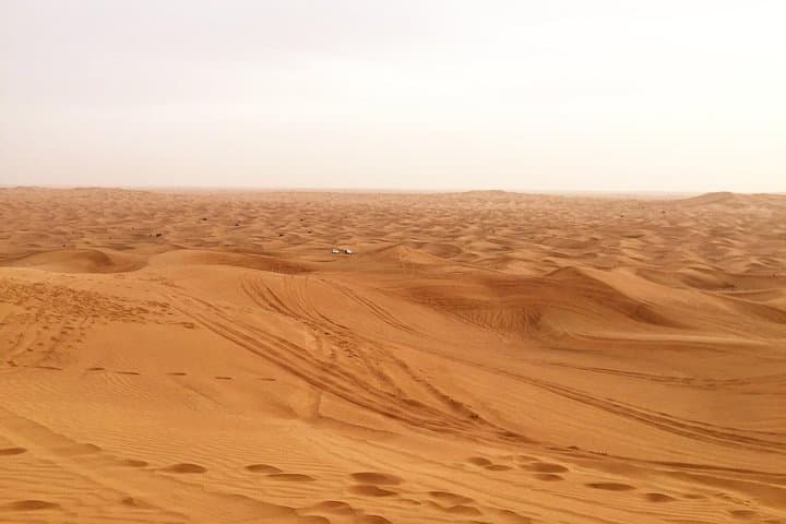 Dubai Morning Desert Safari: Small-Group Dune Bash & Camel Ride