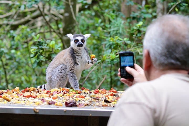 Monkeyland Plettenberg Bay: Guided Free-Roaming Primate Sanctuary Tour photo 2