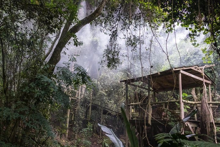 Inside Birds of Eden: Exploring the World's Largest Free-Flight Aviary in Plettenberg Bay