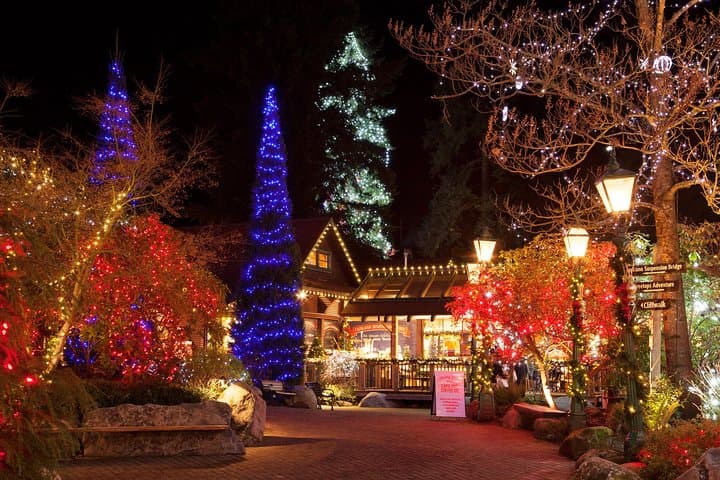 Vancouver City Tour & Capilano Suspension Bridge Canyon Lights photo 3