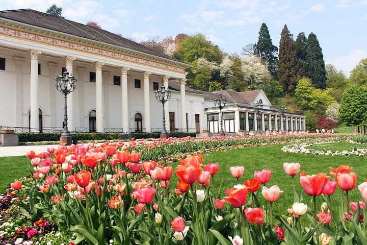 Heidelberg & Black Forest Day Trip: Castle Ruins, Baden-Baden & Mummelsee from Frankfurt photo 1