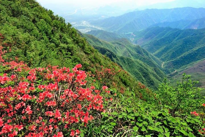 Yao Mountain Chairlift and Guilin Tea Plantation Private Tour