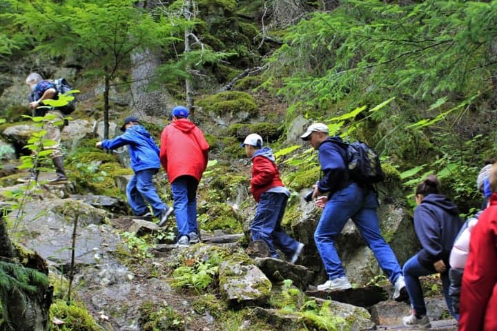 Chilkoot Trail Hike and Dyea River Float — Skagway Shore Excursion Guide