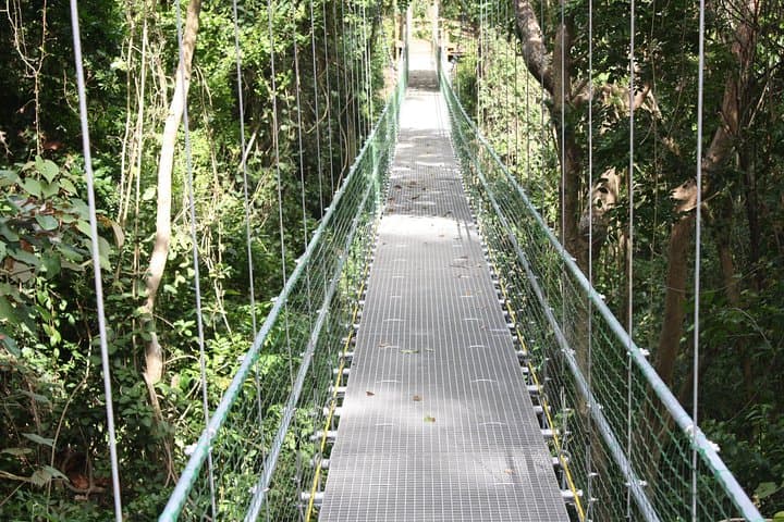 Roatan Hanging Bridges Eco Walk & West Bay Beach Break — Shore Excursion Guide photo 2