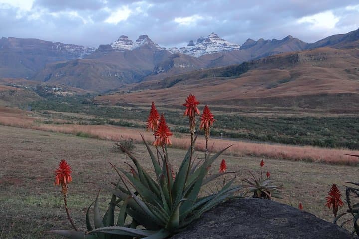 Sani Pass & Drakensberg Day Tour from Durban: 4x4 Into Lesotho