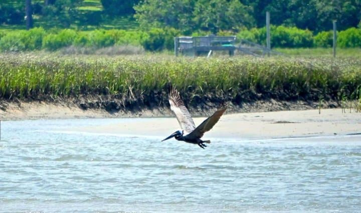 Sunset Sail Tour at Wrightsville Beach: A Scenic 2-Hour Sailing Adventure photo 4
